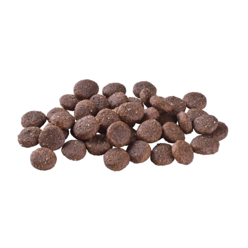 brit care valpfoder junior large breed kyckling insekt spannmålsfritt