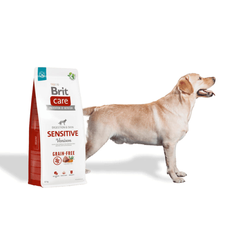 spannmålsfritt hundfoder hjort potatis känslig mage hud päls