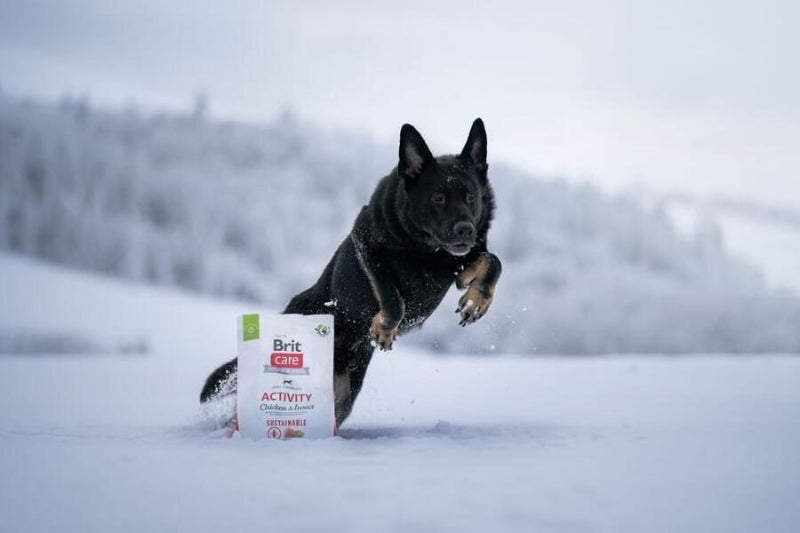 brit care hundfoder active kyckling insekt energi proteinrikt hållbart