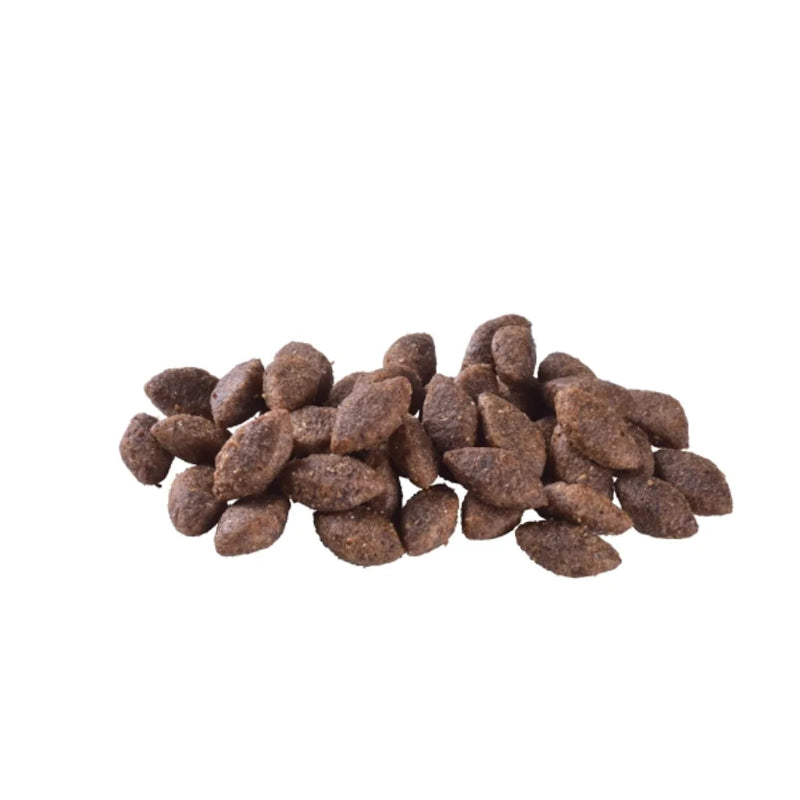 brit care hundfoder active kyckling insekt energi proteinrikt hållbart