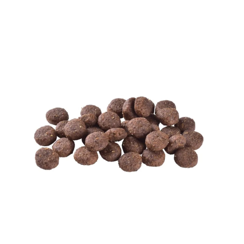 hundfoder medelstora hundar kyckling insekter glutenfritt hållbart