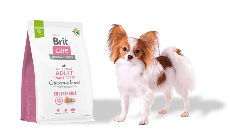 brit care sustainable small breed dog chicken insect små hundar