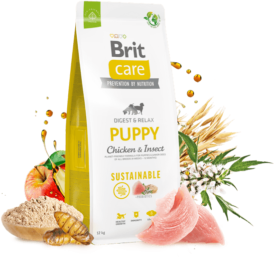 brit care dog sustainable puppy kyckling insekter 1 kg 3 kg valpfoder 
