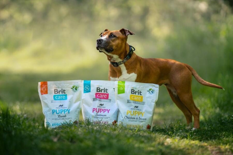 brit care dog sustainable puppy kyckling insekter 1 kg 3 kg valpfoder 
