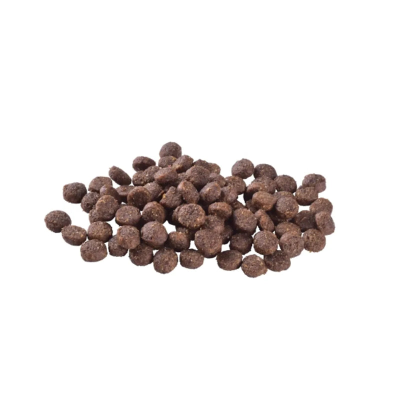 brit care dog sustainable puppy kyckling insekter 1 kg 3 kg valpfoder 