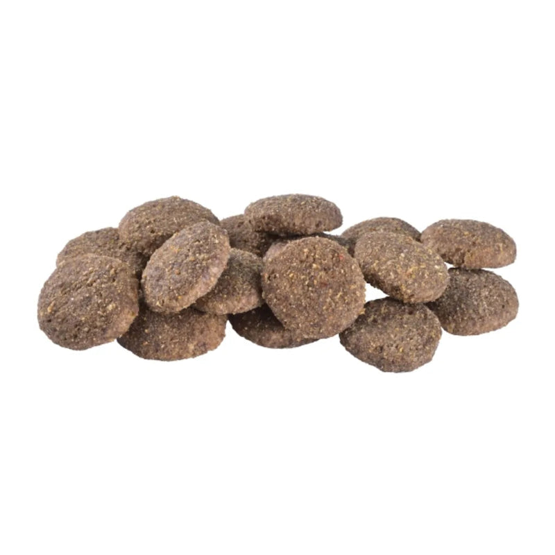 brit care dog sustainable senior kyckling insekter 1 kg, 3 kg, 12 kg seniorfoder glutenfritt
