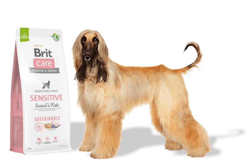 hållbart hundfoder insektsprotein fisk känslig hud allergivänligt