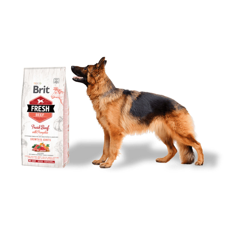 holistiskt valpfoder stora raser nötkött pumpa leder ben