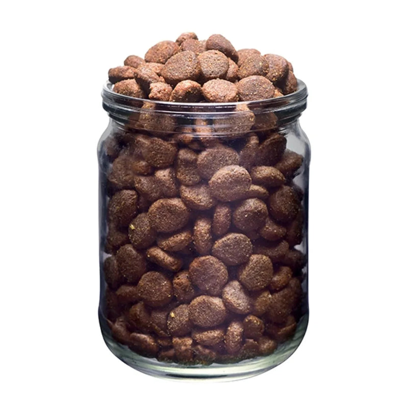 holistiskt valpfoder stora raser nötkött pumpa leder ben