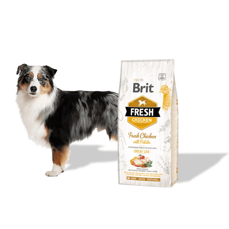 holistiskt hundfoder kyckling potatis vuxna hundar glutenfritt