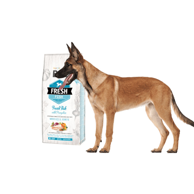 holistiskt hundfoder stora raser fisk pumpa leder omega 3