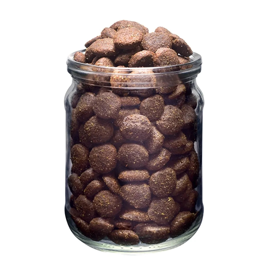 holistiskt hundfoder stora raser fisk pumpa leder omega 3