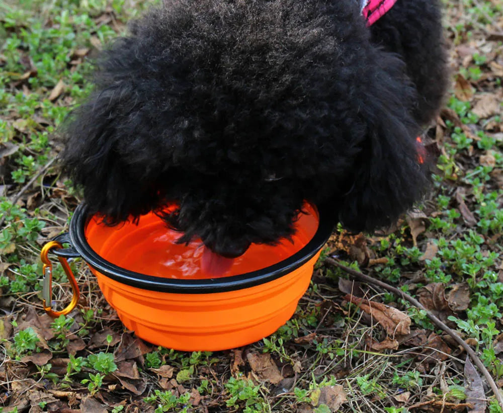 Collapsible Silicone Pet Bowl for Food & Water with Carabiner – Portable & Folding