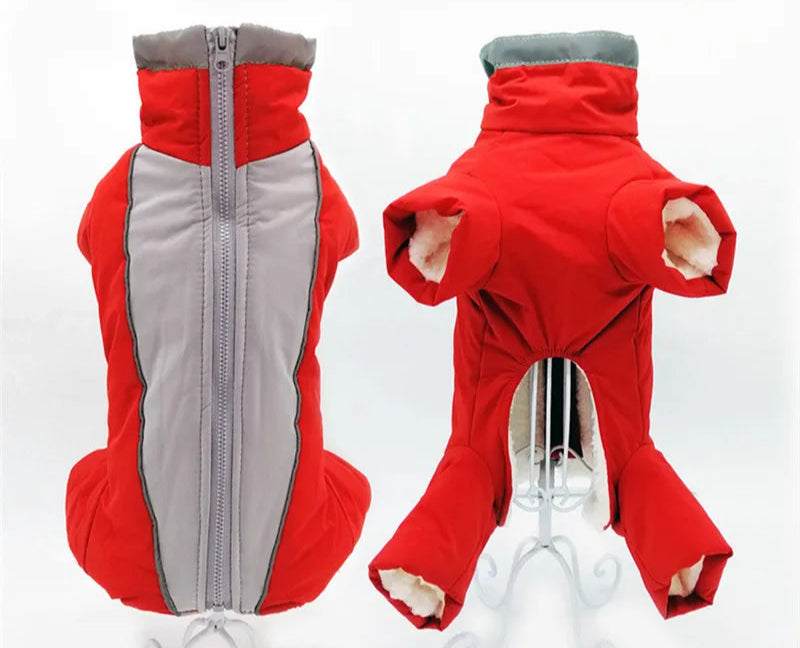 vinteroverall för hund varm vattentät med reflex