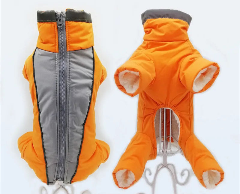 vinteroverall för hund varm vattentät med reflex