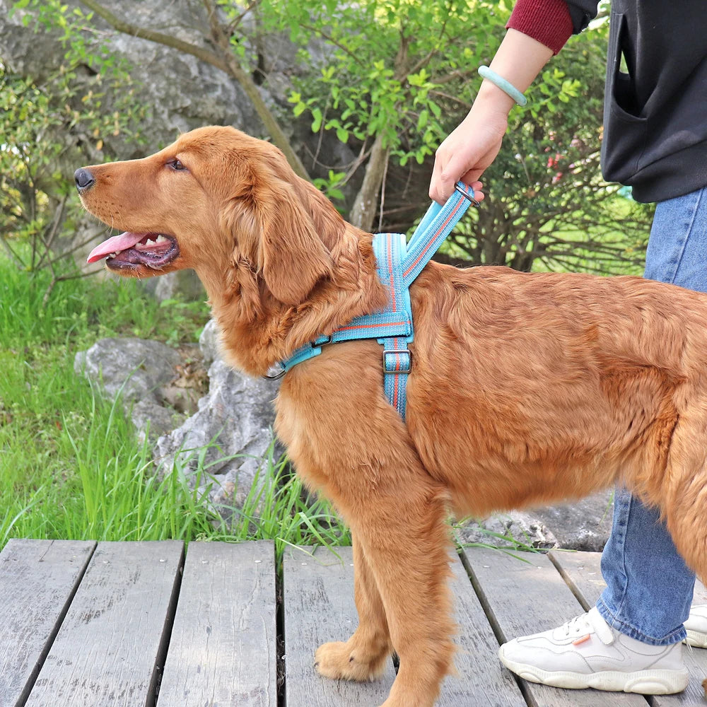 Slitstark Vadderad Hundsele med Handtag och Reflekterande Detaljer