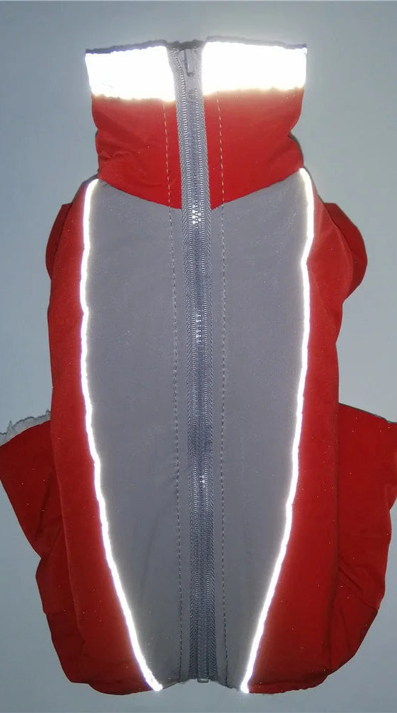 vinteroverall för hund varm vattentät med reflex