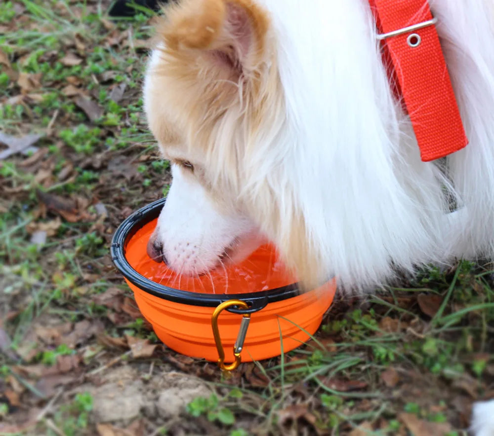 Collapsible Silicone Pet Bowl for Food & Water with Carabiner – Portable & Folding