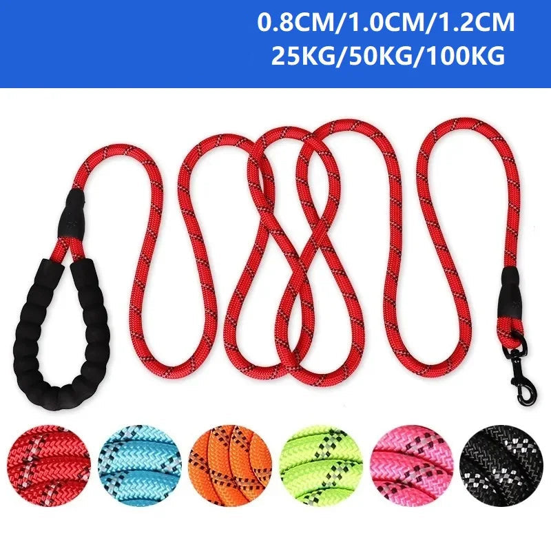 Förstärkt Nylonkoppel med Reflex – Slitstarkt & Bekvämt Hundkoppel i 4 Längder