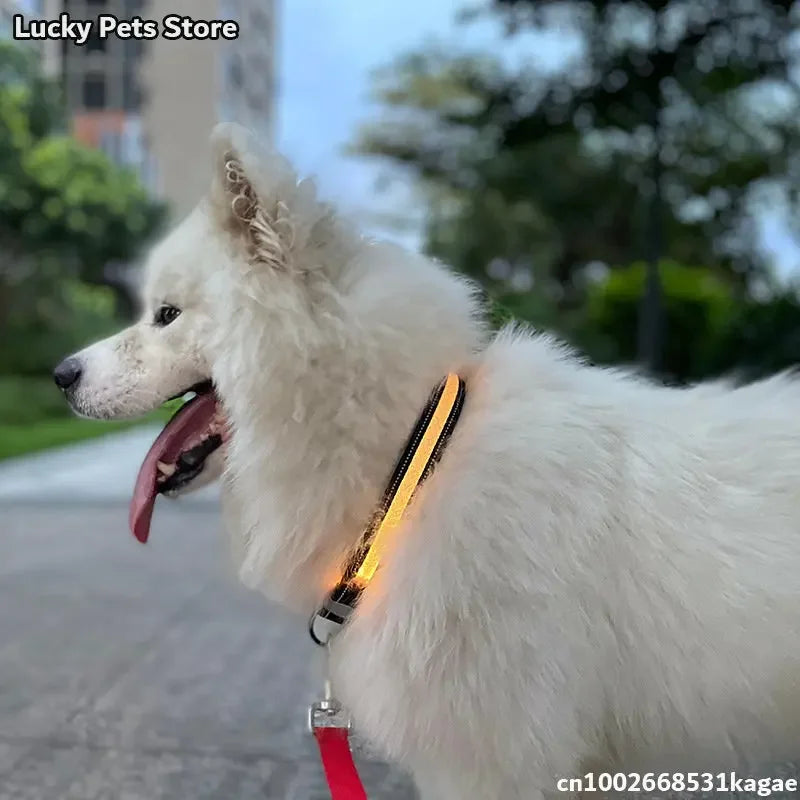 LED Hundhalsband med Appstyrning – Musikrytm, RGB-färger och USB-uppladdning