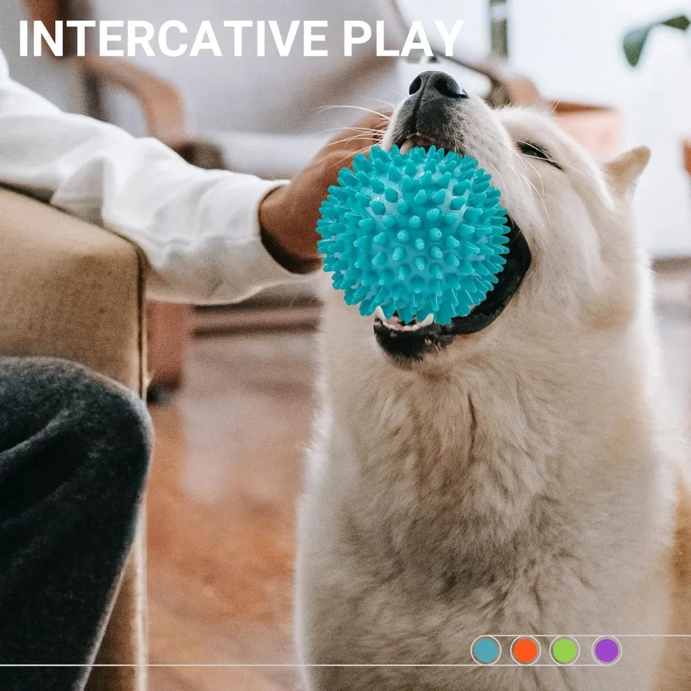 tuggleksak hund färgglad boll ljud tandrensning