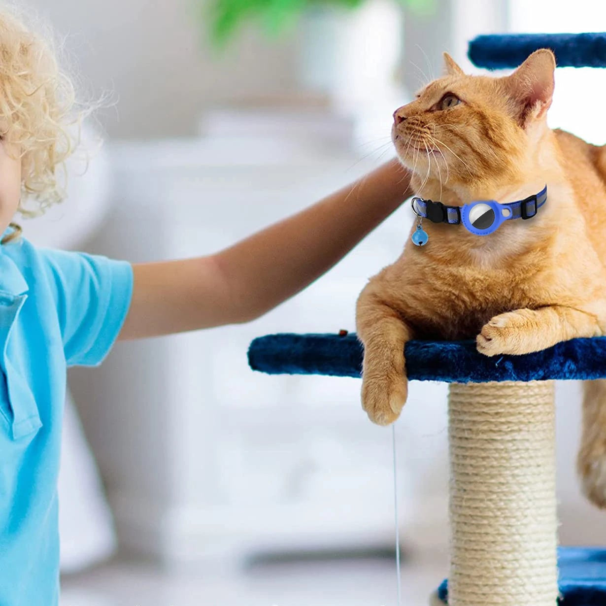 Katthalsband med AirTag-ficka – Reflekterande, Justerbart & Vattentåligt med Bjällra