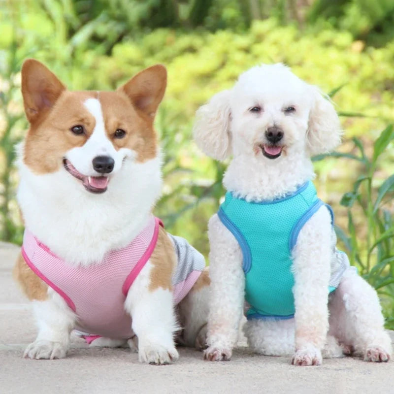 Sommarkylväst för Hund med Reflex och Snabbtorkande Tyg