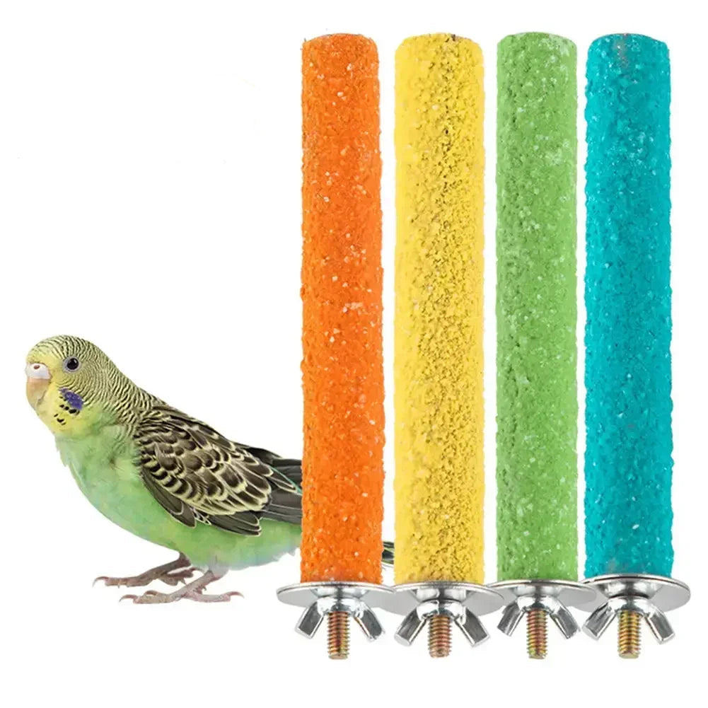 Kloslipande Sitt- Klätterpinne i Trä för Fågel och Råtta