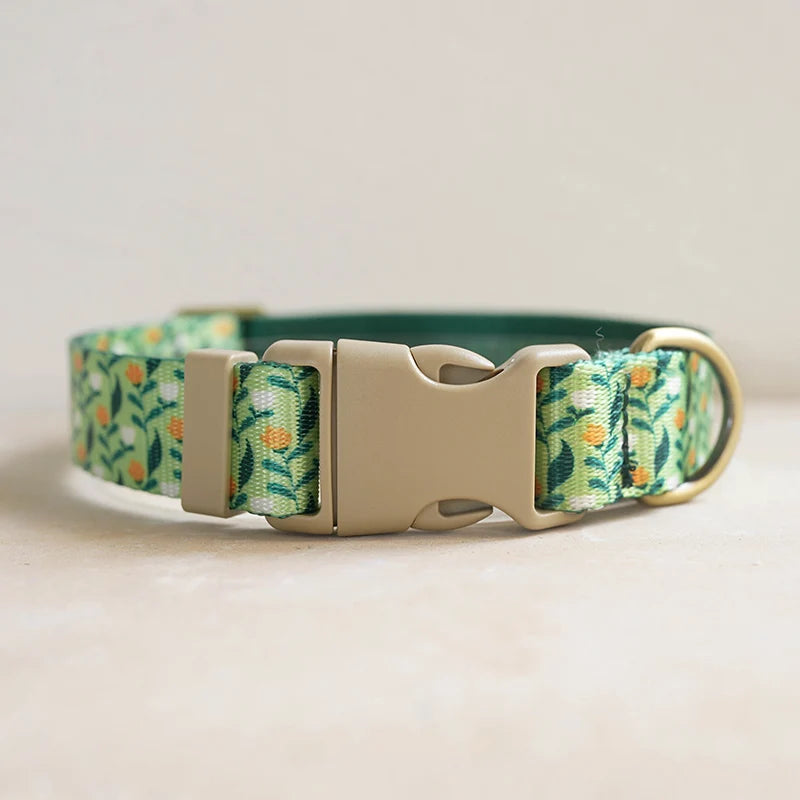 Hundhalsband i Nylon – Justerbart och Slitstarkt