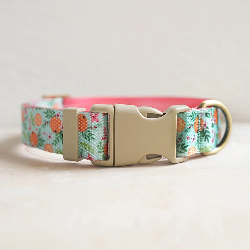 Hundhalsband i Nylon – Justerbart och Slitstarkt