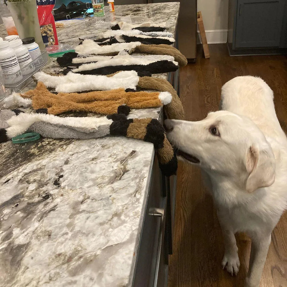 Tuggleksak Utan Fyllnad för Hund – Med Pipljud & Prassel i Slitstark Fleece