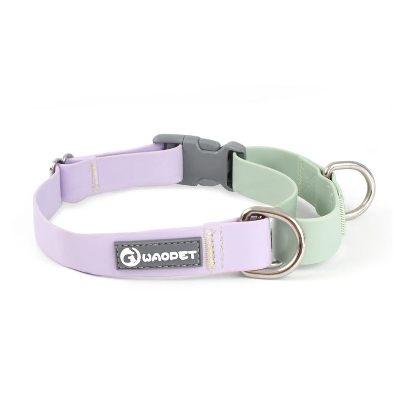 Vattentätt Hundhalsband i PVC – Träningshalsband med P-kedja och Dubbla D-ringar