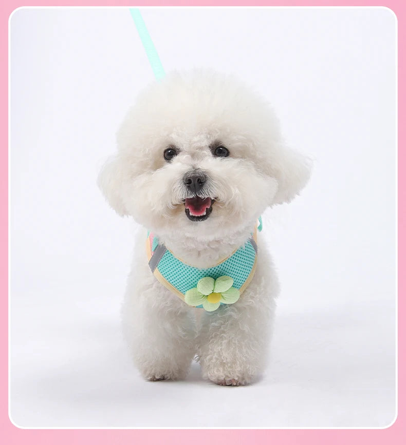 Andasvänlig Hund- och Kattssele med Reflex – Justerbar Meshväst med Koppel för Små och Medelstora Djur