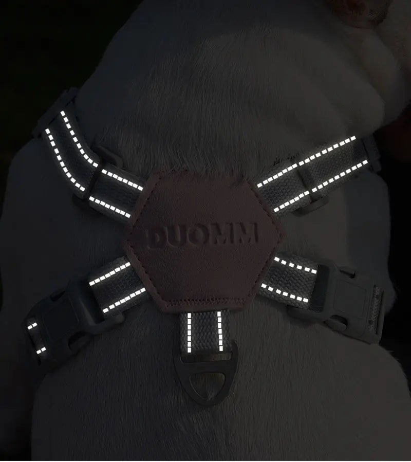 Reflekterande Sele med Koppel för Hund – Justerbar och Andningsbar