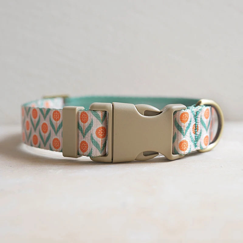 Hundhalsband i Nylon – Justerbart och Slitstarkt