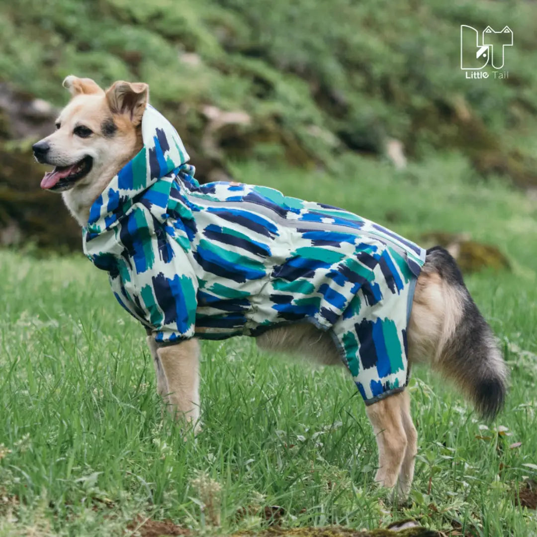 Vattentät Hundoverall – Helkroppsskydd med Justerbar Magdel