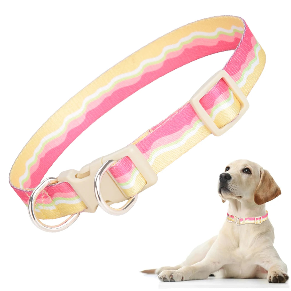 Justerbart Hundhalsband med Stil – Bekvämt för Daglig Användning