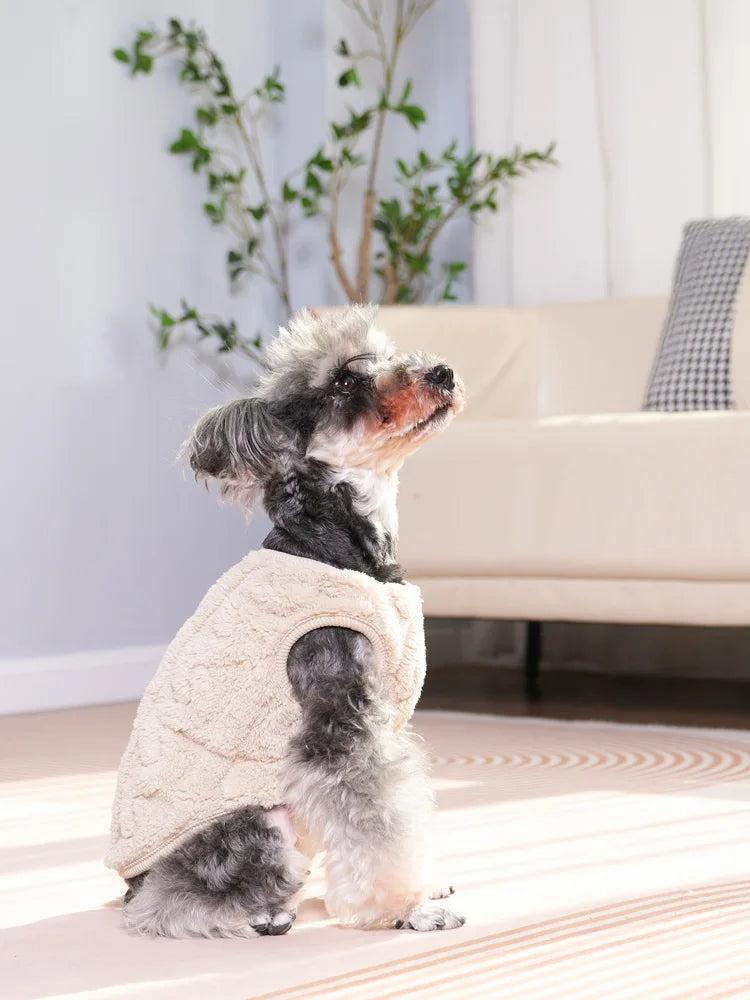 Varm Fleecetröja för Katt & Liten Hund – Mysig till Höst/Vinter