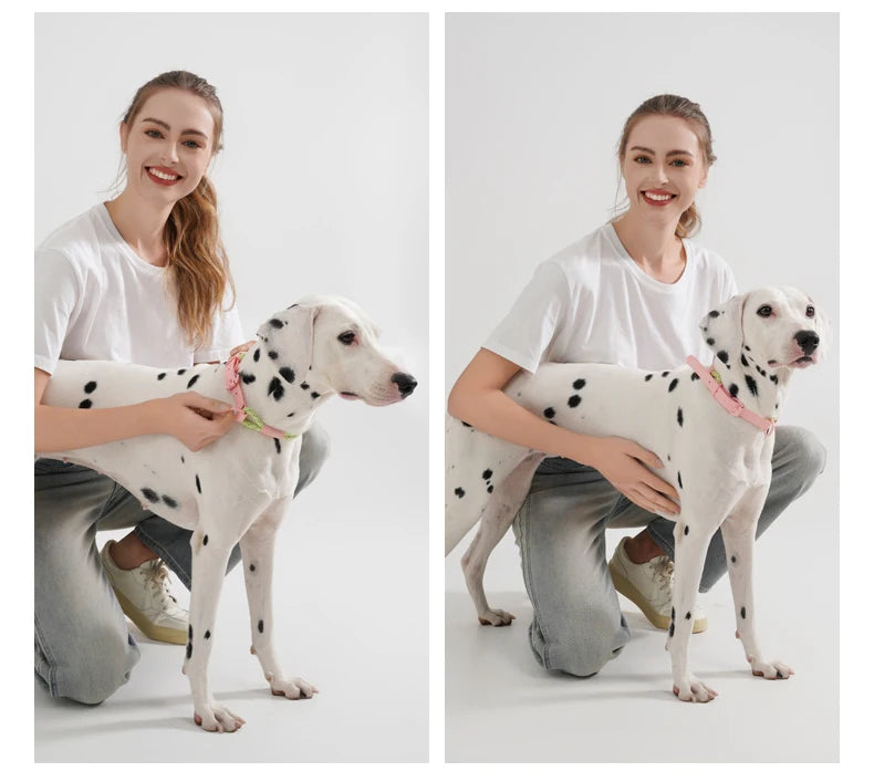 Snyggt och Vattentåligt Hundhalsband i Candy-Stil – Reflekterande och Handgjort