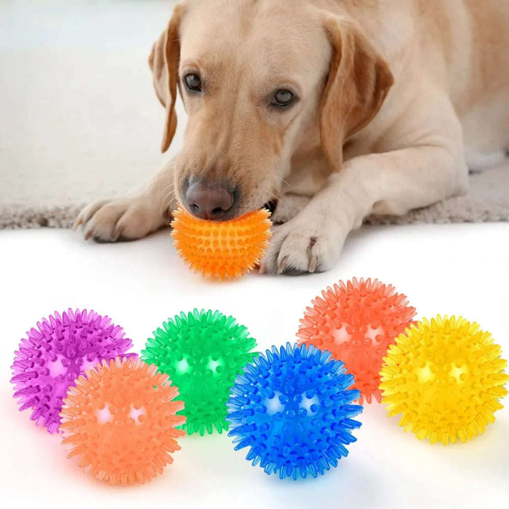 tuggleksak hund färgglad boll ljud tandrensning