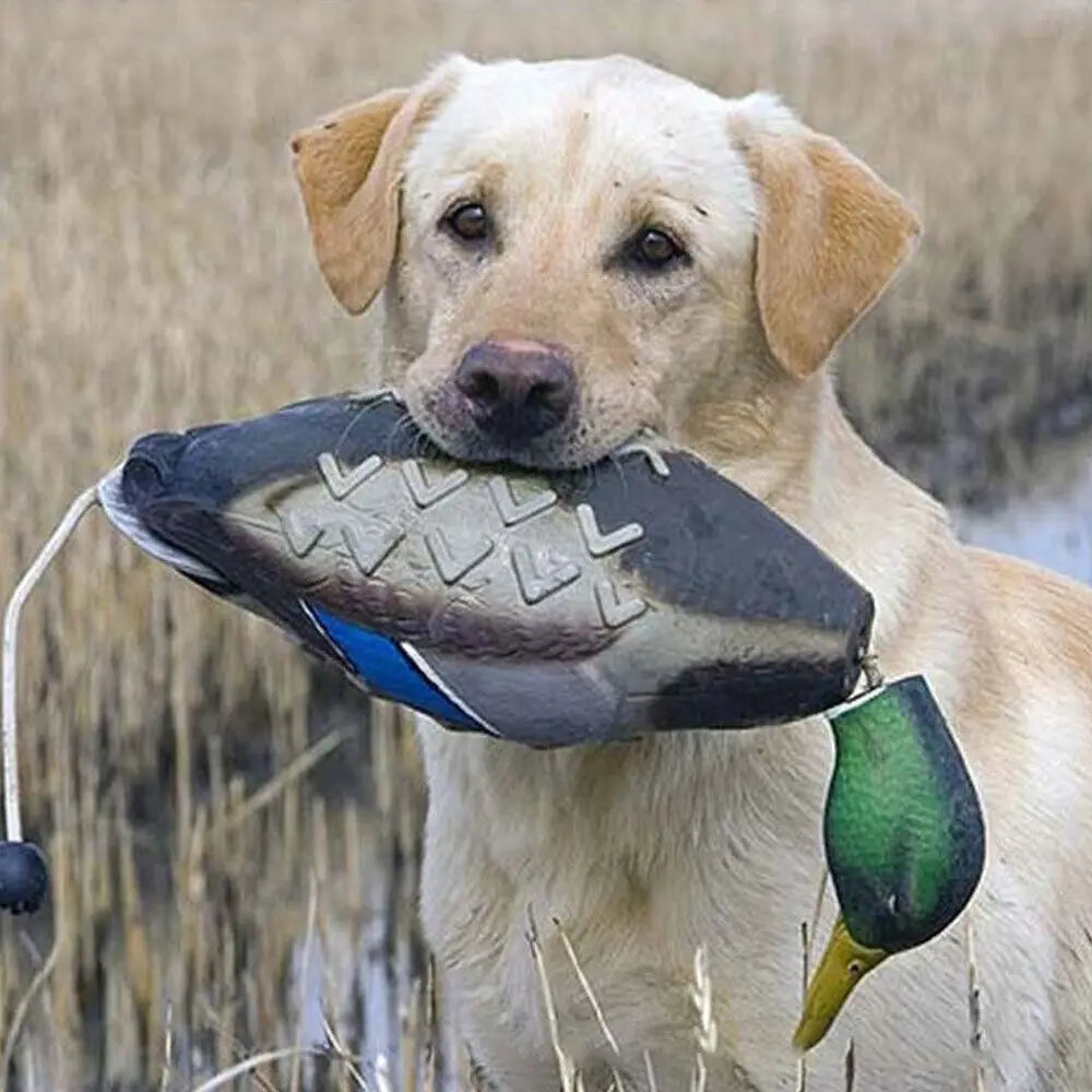 Hundträningsleksak i Form av Fågel – Flytande och Bit­tålig Apportleksak