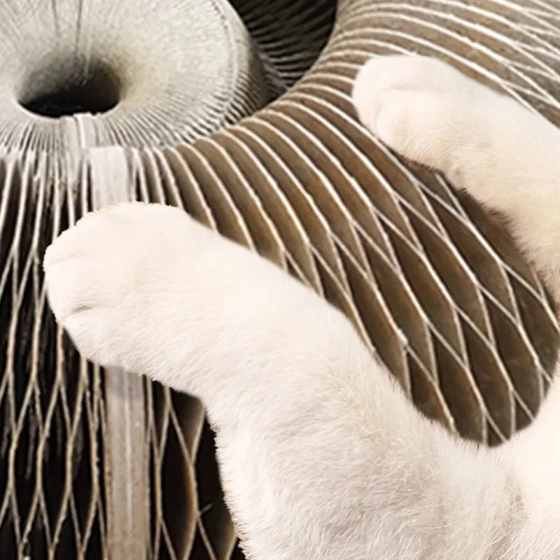 Hopfällbar Rund Kattleksak med Boll och Kattmynta