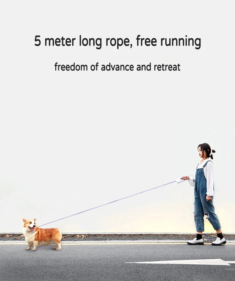 LED-Koppel För Hundar Och Katter – Utdragbart Reflextkoppel Med Inbyggd Belysning