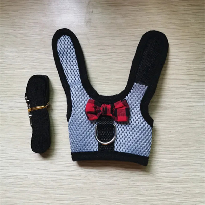 Sele och Koppel för Smådjur – Bekvämt och Justerbart Set