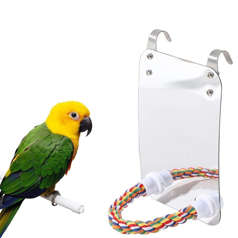 Fågelbursspegel med Sittpinne och Gunga