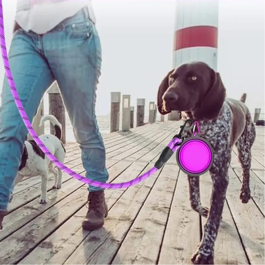 Reflekterande Nylonkoppel för Hund – Stark & Hållbar