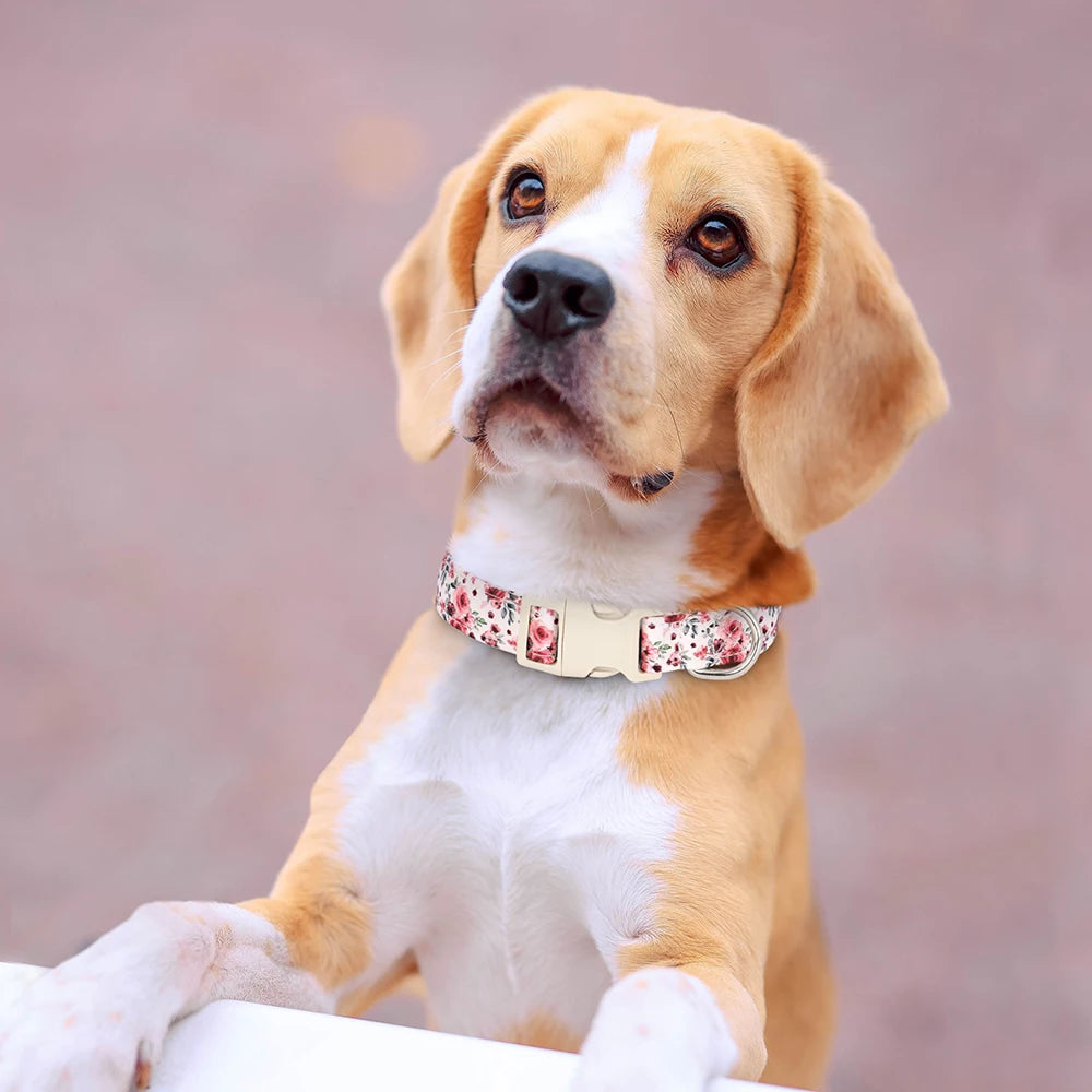Justerbart Nylonhalsband för Hund – Söt Design med Blommor