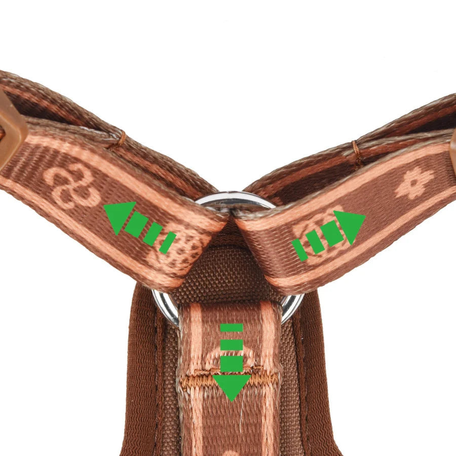 Bekväm och Säker Nylonsele med Reflektion – Perfekt Passform för Små och Medelstora Hundar Året Runt