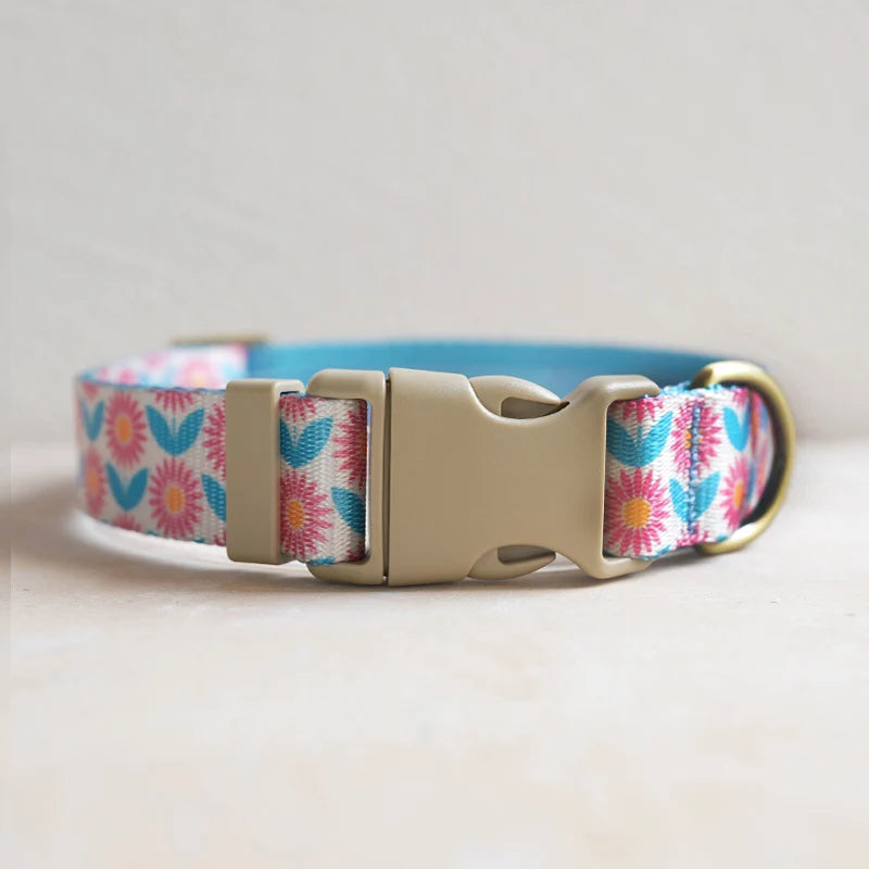 Hundhalsband i Nylon – Justerbart och Slitstarkt