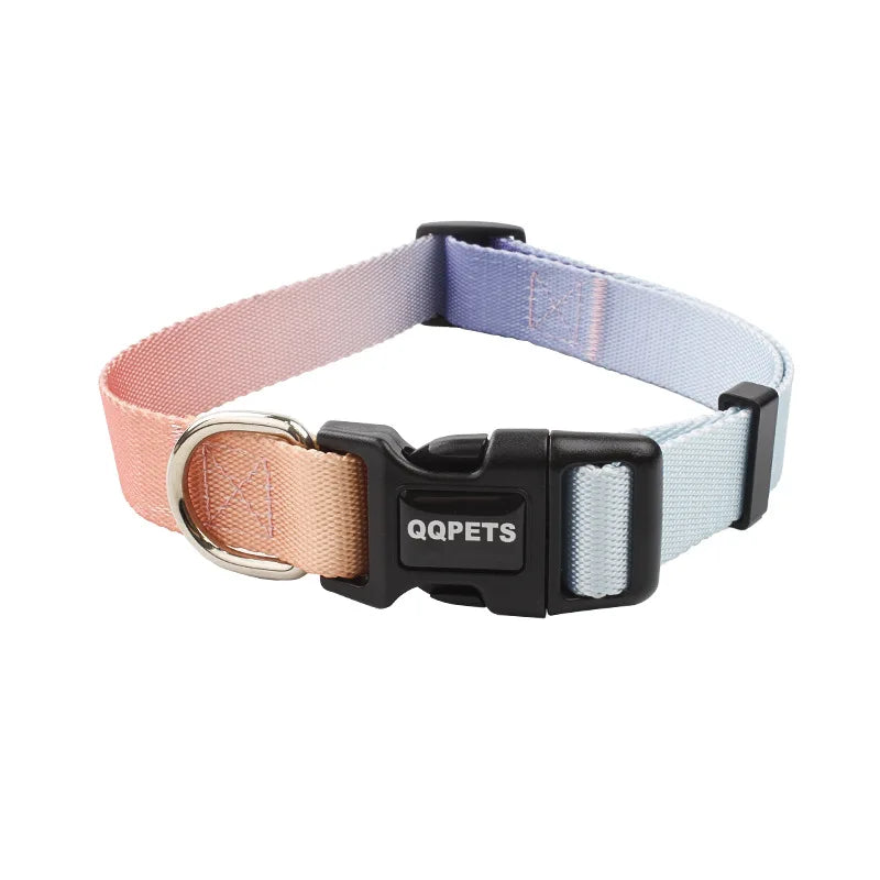 Färgglatt Hundkoppel & Halsband – Justerbart Nylonsset